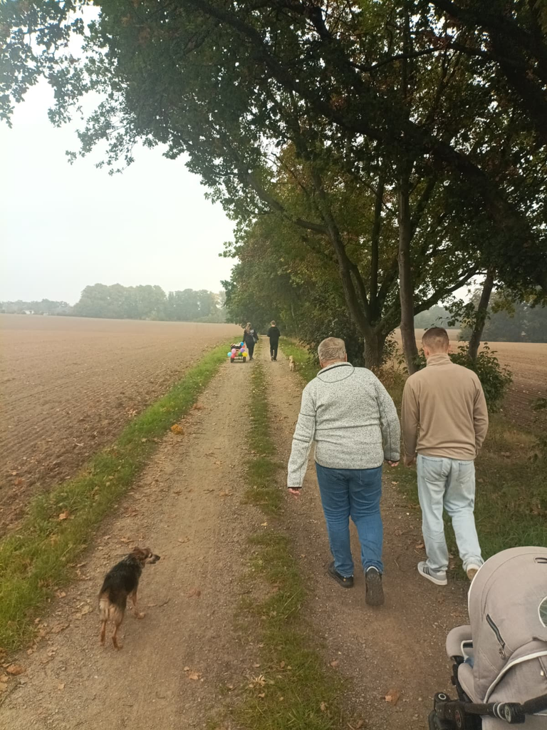 Wandergruppe auf einem Feldweg zwischen Acker und Baumreihe im herbstlichen Dunst, vorn ein Hund und ein Kinderwagen, weiter vorn ein mit Luftballons geschmückter Bollerwagen.
